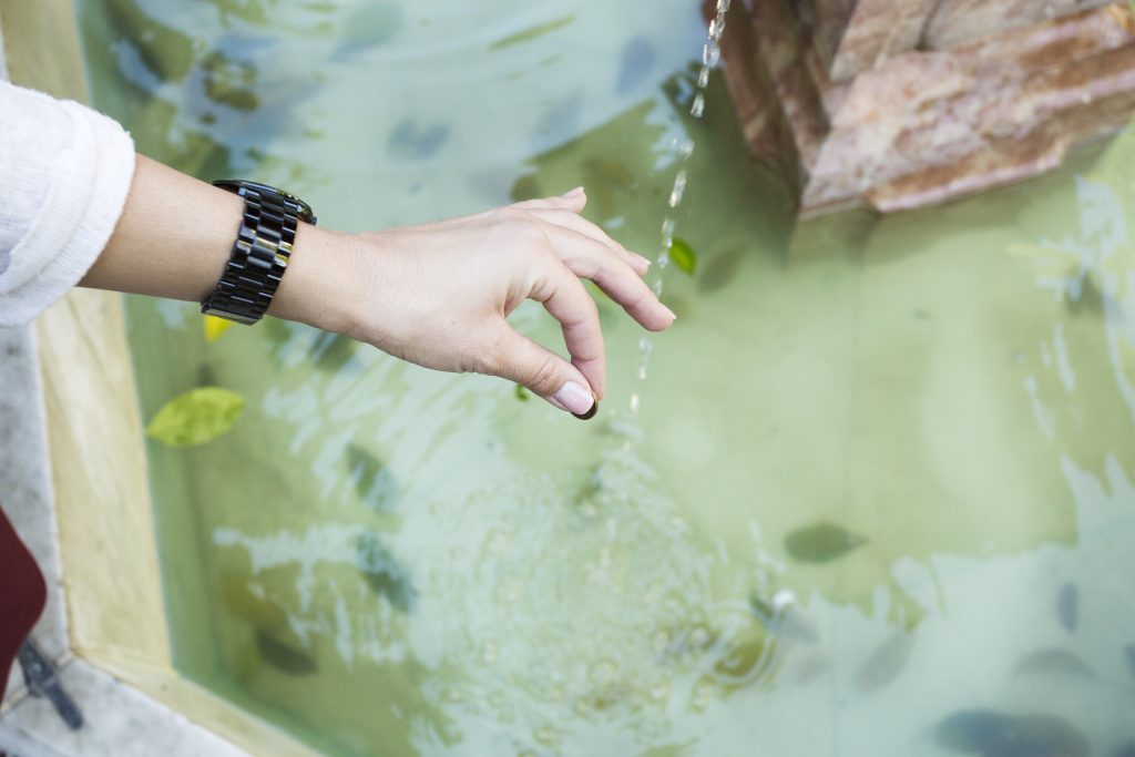Guía práctica sobre la protección de pozos de agua contra la contaminación